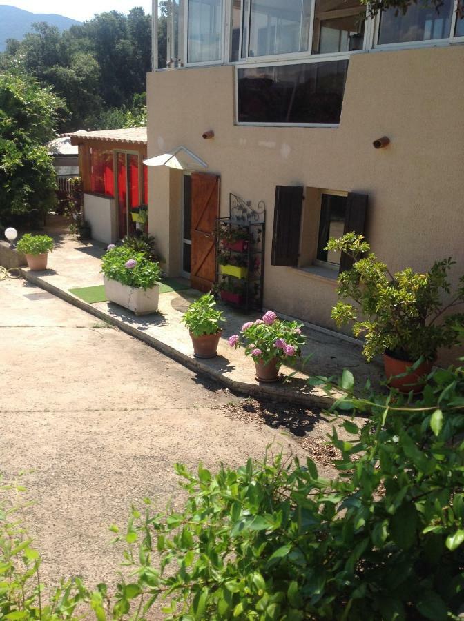 Charmant Appartement 2 pièces Eccica-Suarella  Esterno foto